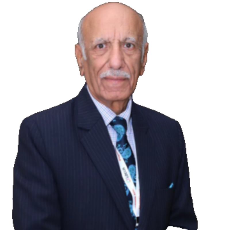 Krishan K Batra